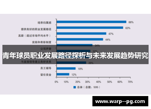 青年球员职业发展路径探析与未来发展趋势研究