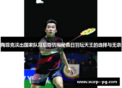 陶菲克淡出国家队背后隐情揭秘昔日羽坛天王的选择与无奈