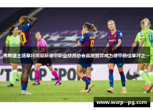 弗赖堡主场草坪质量获德甲职业球员协会高度赞誉成为德甲最佳草坪之一 弗赖堡主场草坪质量获德甲职业球员协会高度赞誉成为德甲最佳草坪之一